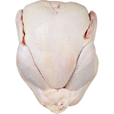 Grade A Fresh Turkey 11 Kg and Up