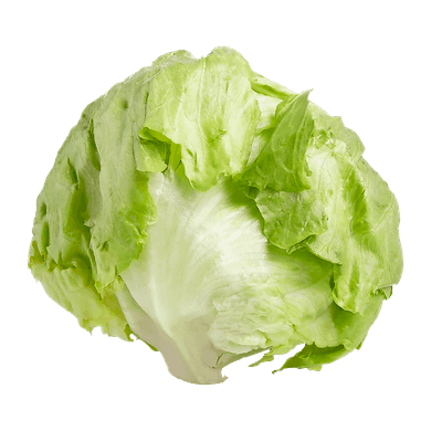 Lettuce Iceberg