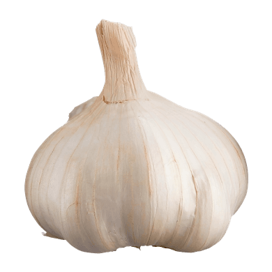 Colossal Garlic